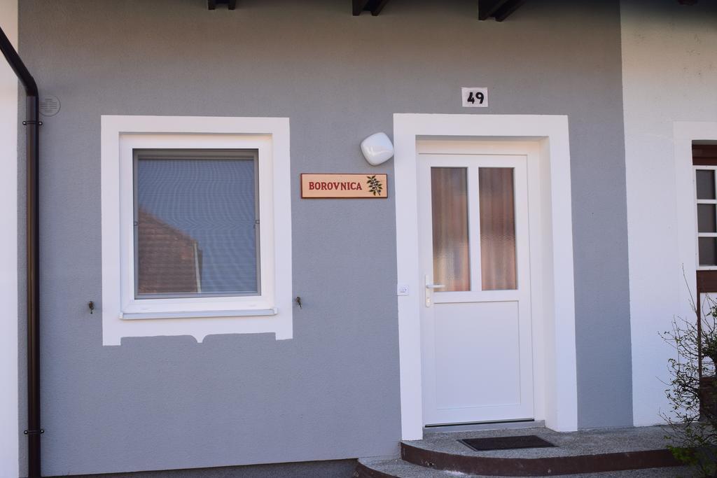 Borovnica Catez Apartment Catez ob Savi Exterior photo